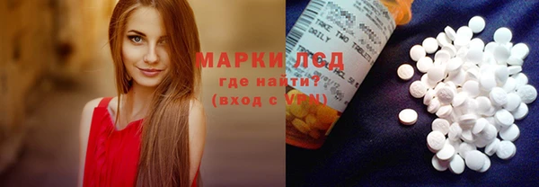 стаф Кулебаки