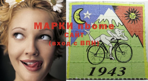 стаф Кулебаки