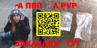 шишки Аргун