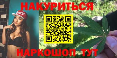 шишки Аргун