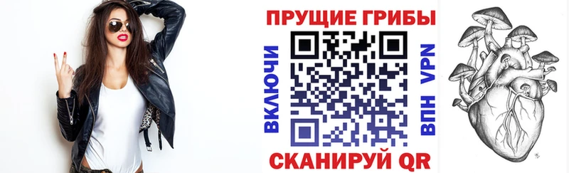 Галлюциногенные грибы Cubensis  Шебекино 
