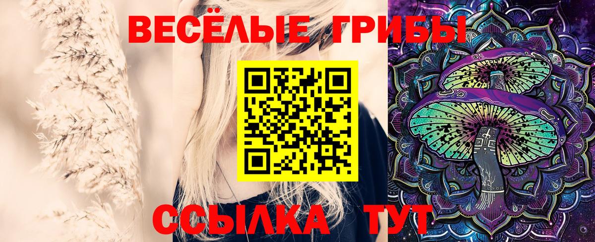 купить наркотики цена  Псилоцибиновые грибы GOLDEN TEACHER  Вход с VPN  Шебекино 