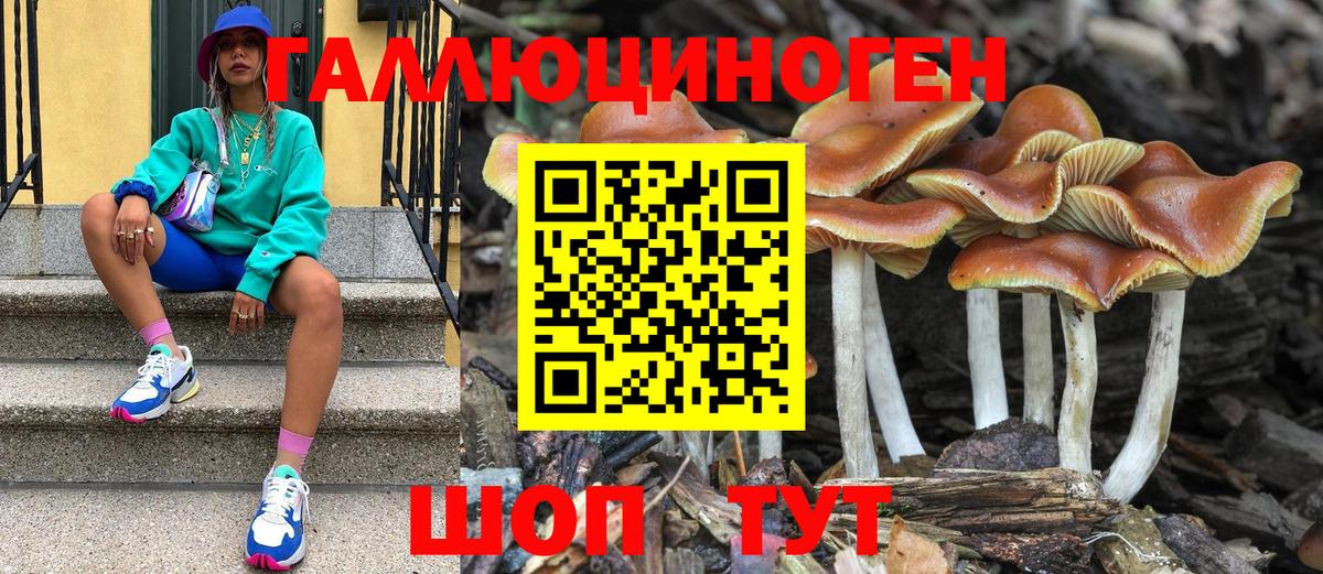 Псилоцибиновые грибы мицелий Шебекино