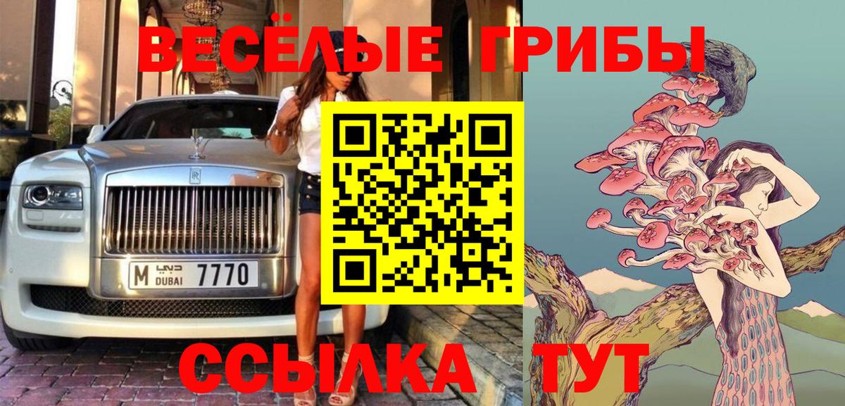 как найти   Шебекино  Псилоцибиновые грибы прущие грибы  Галлюциногенные грибы GOLDEN TEACHER 